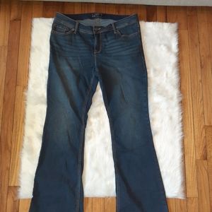 Torrid size 16r bootcut jeans